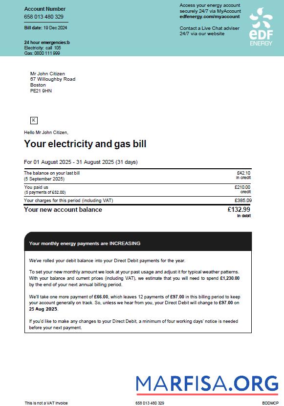 Realistic France EDF utility bill template in Word and PDF formats, version 2